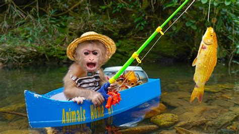 monkey fish